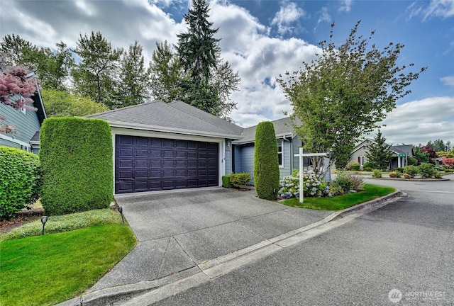 11627 239th Ave NE, Redmond, WA 98053 - photo 25
