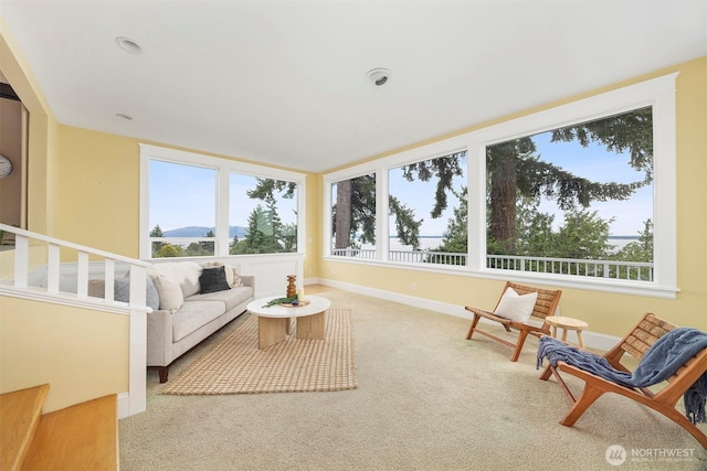 240 S Forest, Bellingham, WA 98225 - photo 11
