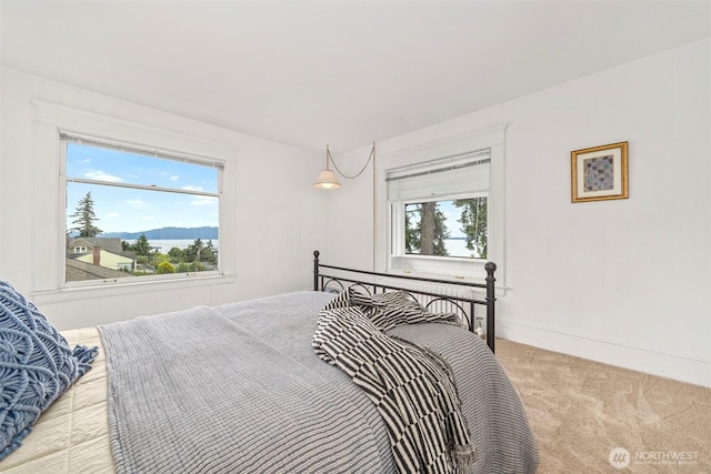 240 S Forest, Bellingham, WA 98225 - photo 24