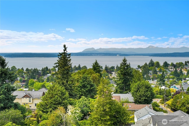 5001 California Ave SW Unit 212, Seattle, WA 98136 - photo 3