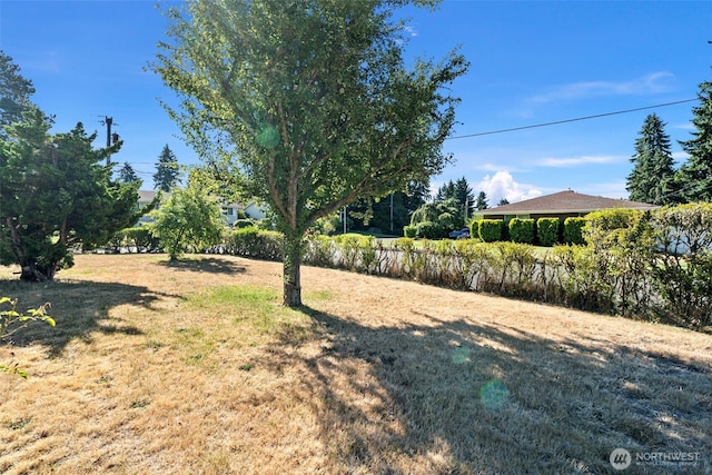 1102 Paradise Pkwy, Fircrest, WA 98466 - photo 27