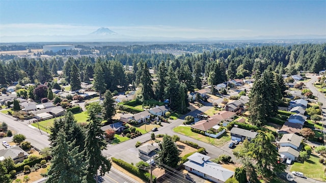 1102 Paradise Pkwy, Fircrest, WA 98466 - photo 29