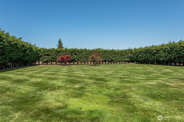 170 Donaper Rd, Sequim, WA 98382 - photo 37