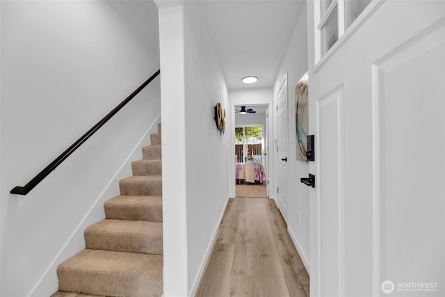 536 N 103rd St Unit A, Seattle, WA 98133 - photo 25