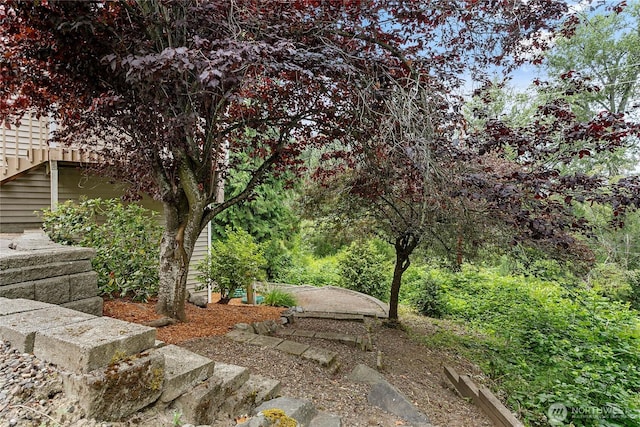 1907 E Sunset Dr, Bellingham, WA 98226 - photo 29