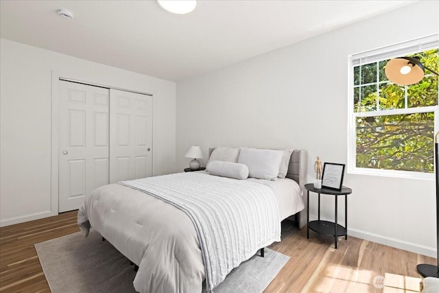 10236 1st Ave S, Seattle, WA 98168 - photo 20