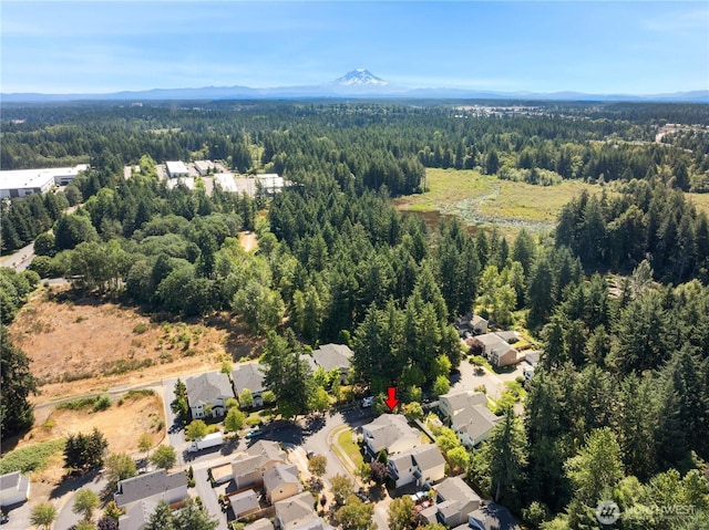 1151 Griggs St, Dupont, WA 98327 - photo 33