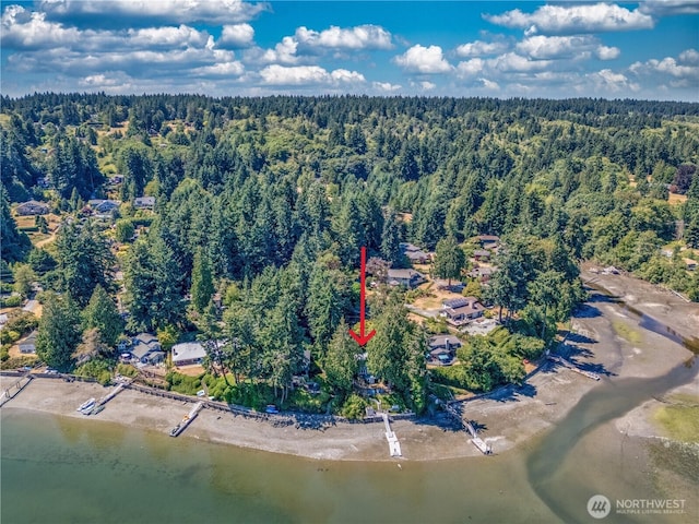 10205 SW Tillicum Ln, Vashon, WA 98070 - photo 40
