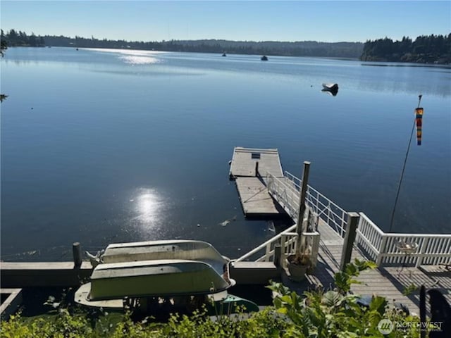 10205 SW Tillicum Ln, Vashon, WA 98070 - photo 39