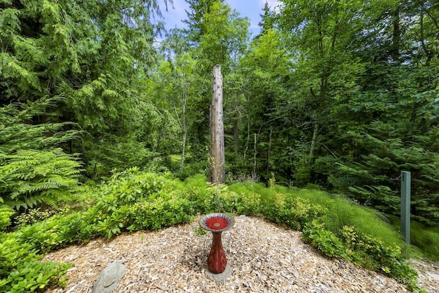 12 Huckleberry Ct, Bellingham, WA 98229 - photo 30