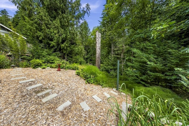 12 Huckleberry Ct, Bellingham, WA 98229 - photo 32