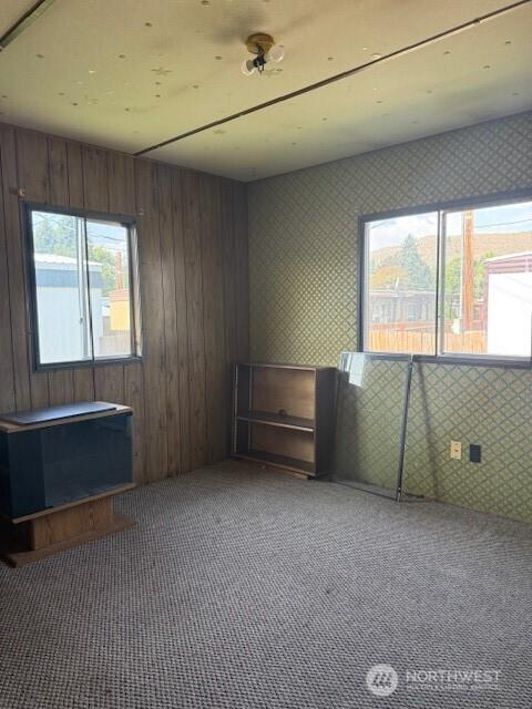 229 Johnathan St, Tonasket, WA 98855 - photo 9