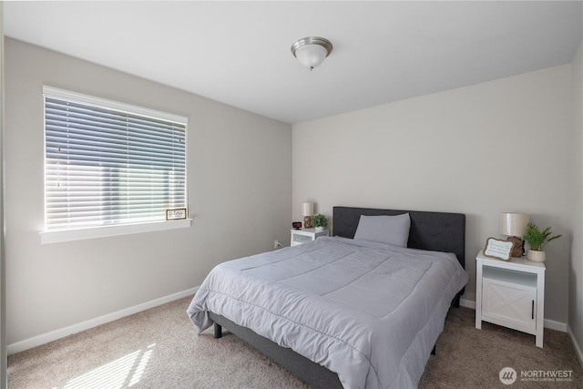 8429 22nd Ave SE, Olympia, WA 98513 - photo 27