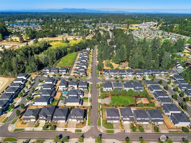 8429 22nd Ave SE, Olympia, WA 98513 - photo 32