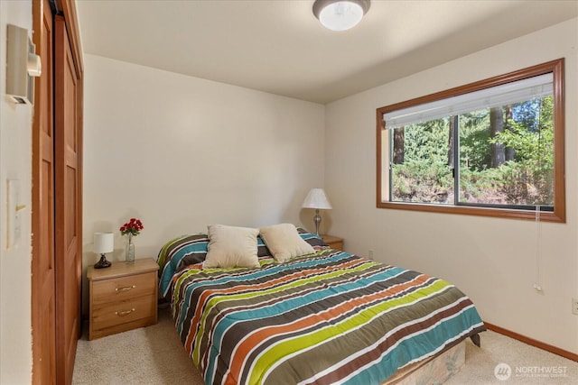 16224 82nd St SE, Snohomish, WA 98290 - photo 15