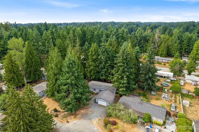 21009 129th Street Ct E, Bonney Lake, WA 98391 - photo 37