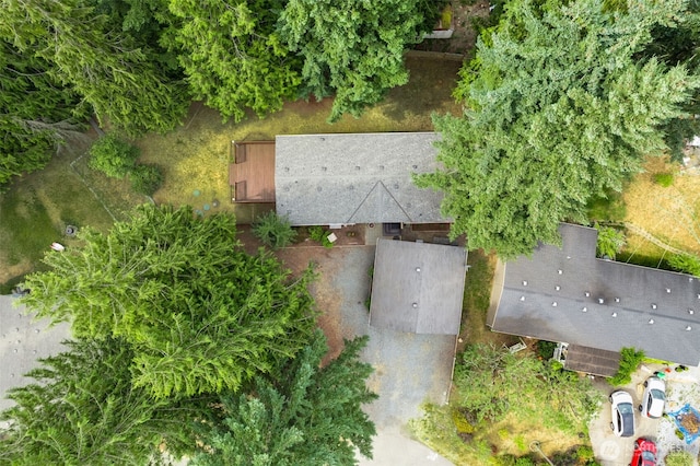 21009 129th Street Ct E, Bonney Lake, WA 98391 - photo 35