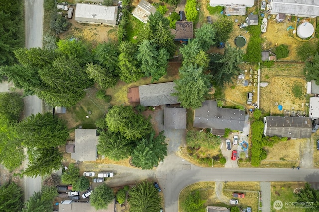 21009 129th Street Ct E, Bonney Lake, WA 98391 - photo 38