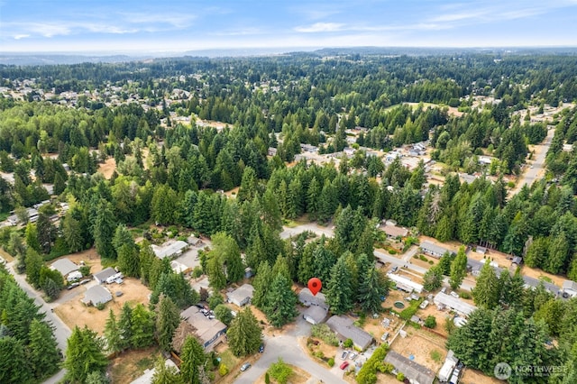 21009 129th Street Ct E, Bonney Lake, WA 98391 - photo 39