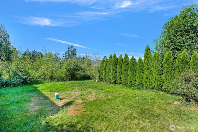 9031 Blaine Rd, Blaine, WA 98230 - photo 23