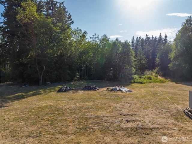 0 Duquesne Ave, Port Townsend, WA 98368 - photo 4