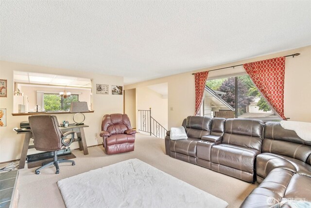 220226 E Oak St, Mccleary, WA 98557 - photo 18