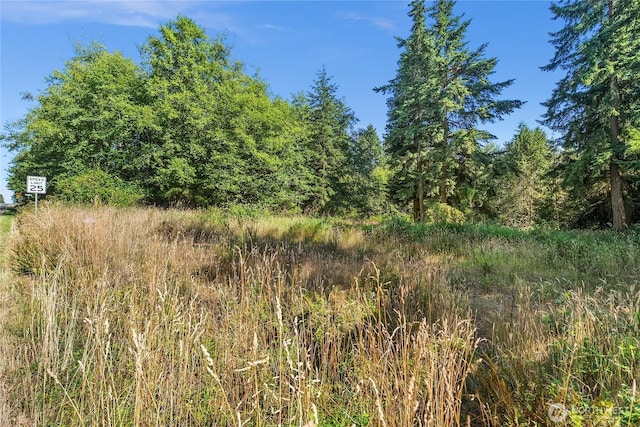 0 Prospect Ave, Port Townsend, WA 98368 - photo 5