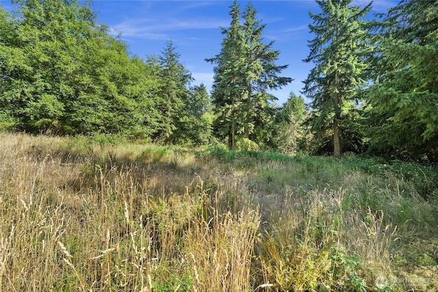 0 Prospect Ave, Port Townsend, WA 98368 - photo 8