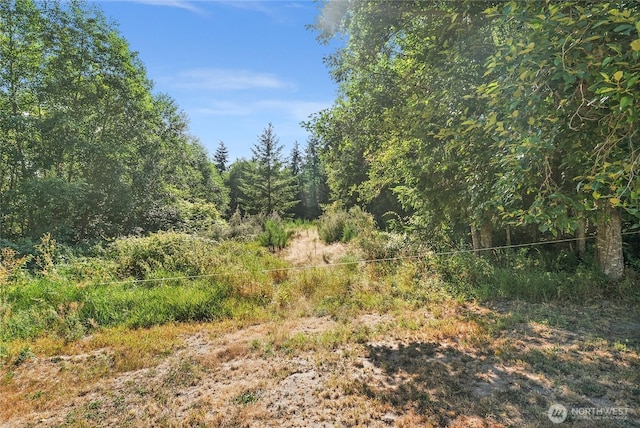 0 Prospect Ave, Port Townsend, WA 98368 - photo 9