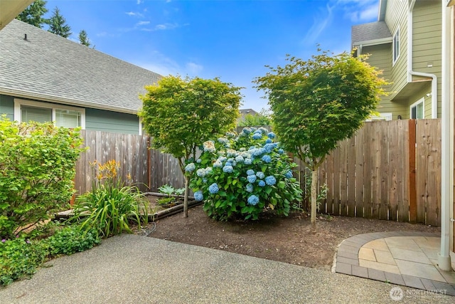 4240 17th Way NE, Olympia, WA 98516 - photo 29