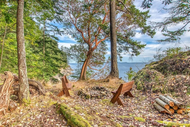 2760 Raccoon Point Rd, Orcas Island, WA 98245 - photo 1