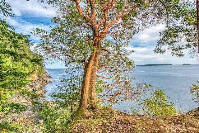 2760 Raccoon Point Rd, Orcas Island, WA 98245 - photo 2