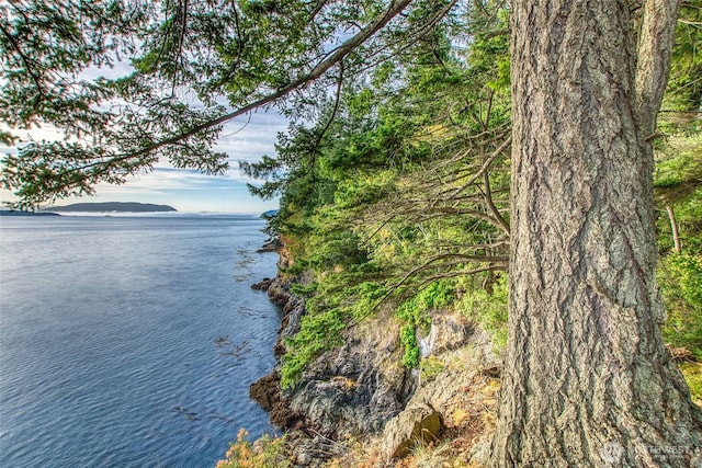 2760 Raccoon Point Rd, Orcas Island, WA 98245 - photo 3