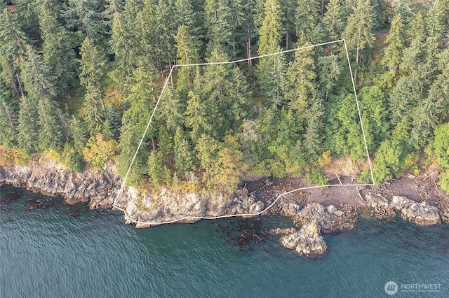 2760 Raccoon Point Rd, Orcas Island, WA 98245 - photo 4
