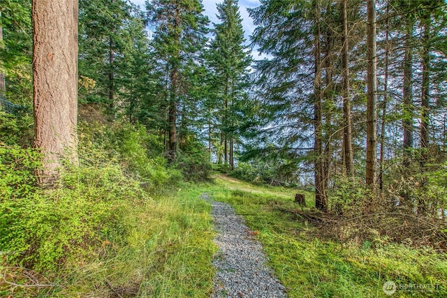 2760 Raccoon Point Rd, Orcas Island, WA 98245 - photo 5