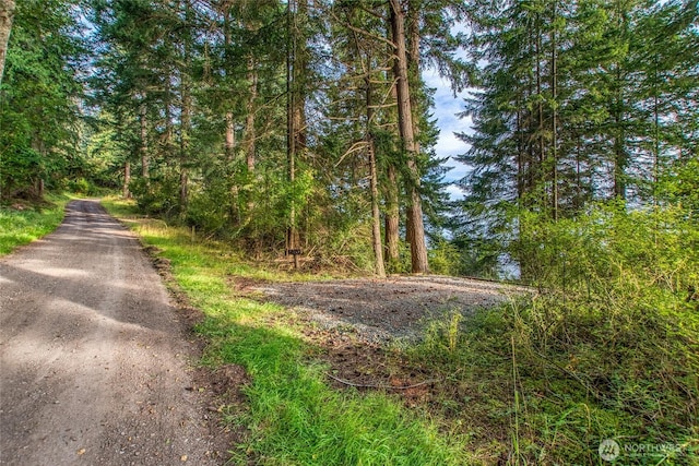 2760 Raccoon Point Rd, Orcas Island, WA 98245 - photo 6