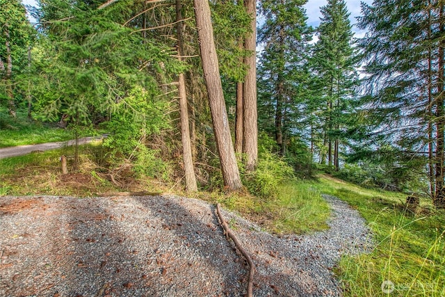 2760 Raccoon Point Rd, Orcas Island, WA 98245 - photo 8