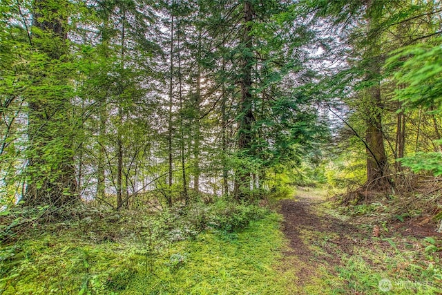 2760 Raccoon Point Rd, Orcas Island, WA 98245 - photo 10
