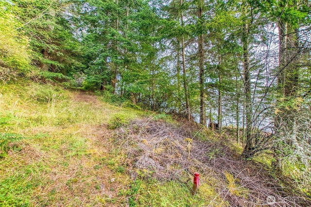 2760 Raccoon Point Rd, Orcas Island, WA 98245 - photo 11