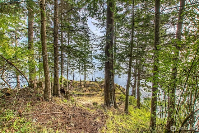 2760 Raccoon Point Rd, Orcas Island, WA 98245 - photo 12