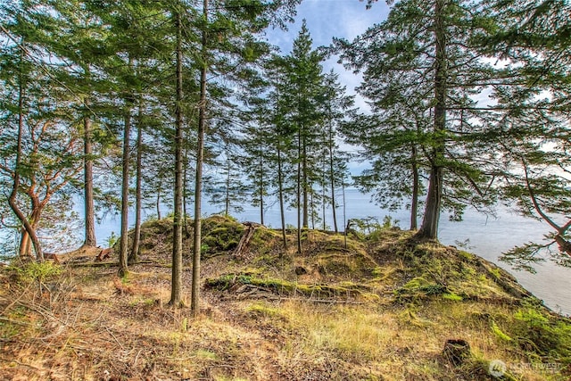 2760 Raccoon Point Rd, Orcas Island, WA 98245 - photo 13