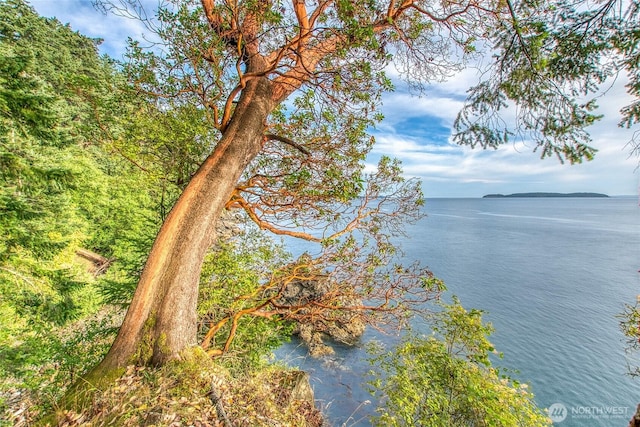 2760 Raccoon Point Rd, Orcas Island, WA 98245 - photo 14