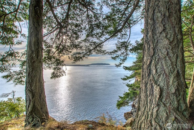 2760 Raccoon Point Rd, Orcas Island, WA 98245 - photo 15