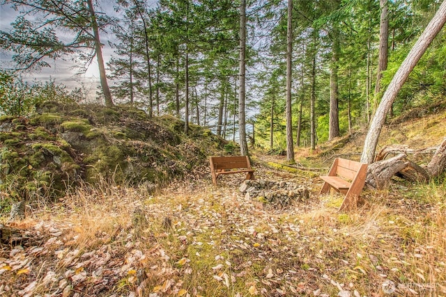 2760 Raccoon Point Rd, Orcas Island, WA 98245 - photo 16