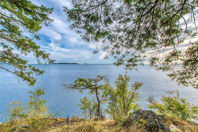 2760 Raccoon Point Rd, Orcas Island, WA 98245 - photo 17