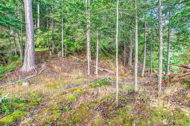 2760 Raccoon Point Rd, Orcas Island, WA 98245 - photo 18