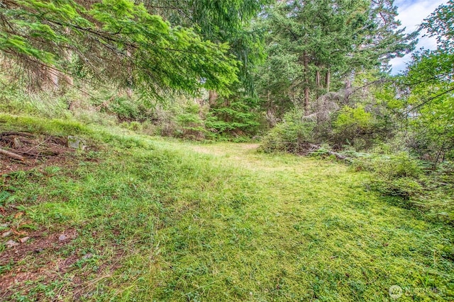 2760 Raccoon Point Rd, Orcas Island, WA 98245 - photo 19