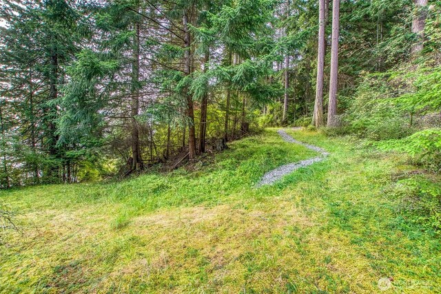2760 Raccoon Point Rd, Orcas Island, WA 98245 - photo 20