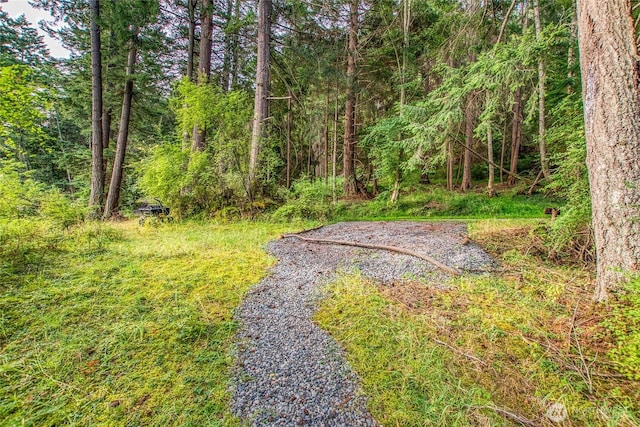 2760 Raccoon Point Rd, Orcas Island, WA 98245 - photo 21