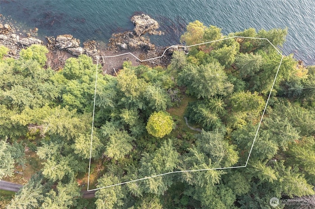 2760 Raccoon Point Rd, Orcas Island, WA 98245 - photo 24